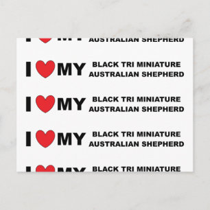 i Liebe meine schwarze tri mini aussie Postkarte