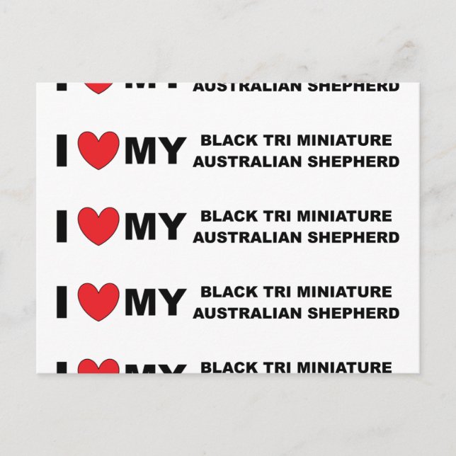 i Liebe meine schwarze tri mini aussie Postkarte (Vorderseite)