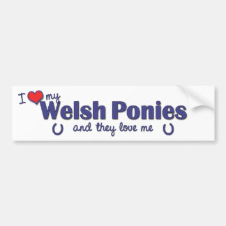 I Liebe meine Waliser-Ponys (mehrfache Ponys) Autoaufkleber