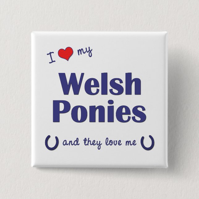 I Liebe meine Waliser-Ponys (mehrfache Ponys) Button (Vorderseite)