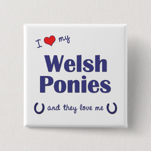 I Liebe meine Waliser-Ponys (mehrfache Ponys) Button
