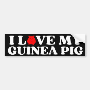I Liebe meiner GUINEA PIG Autoaufkleber