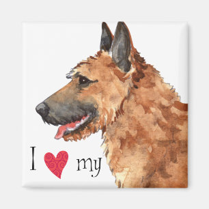 I Liebe meines belgischen Laekenois Magnet