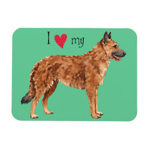 I Liebe meines belgischen Laekenois Magnet