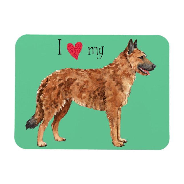 I Liebe meines belgischen Laekenois Magnet (Horizontal)