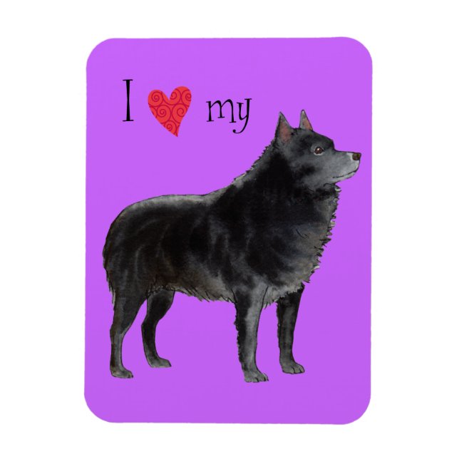 I Liebe meines Schipperke Magnet (Vertikal)