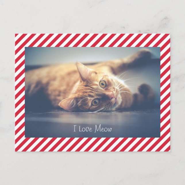 I Liebe Meow | Cat Valentine's Day Foto Postkarte (Vorderseite)
