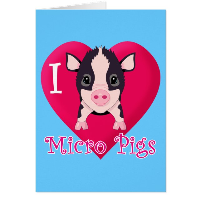 I Liebe-Mikro-Schweine (Vorne)