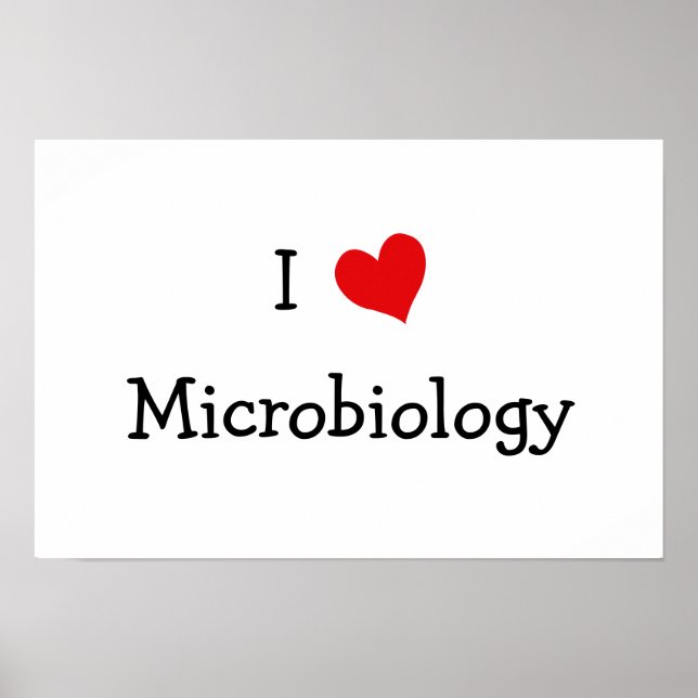 I Liebe Mikrobiologie Poster (Vorne)