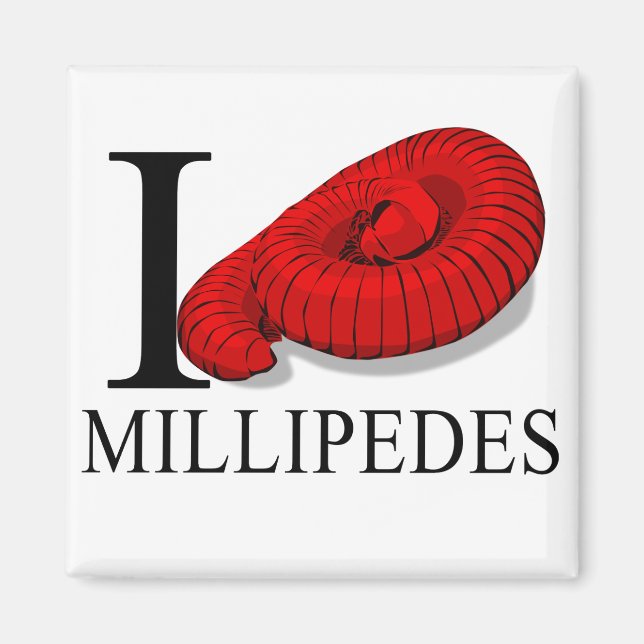 I Liebe Millipedes Magnete (Vorne)