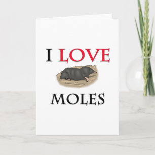 I Liebe Moles Karte