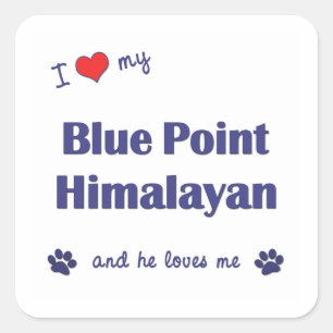 I Liebe My Blue Point Himalayan (Männerkatze) Quadratischer Aufkleber