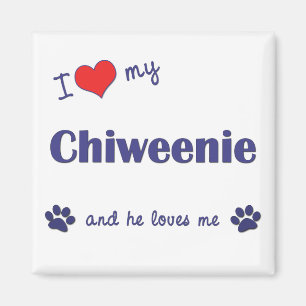 I Liebe My Chiweenie (Männerhund) Magnet