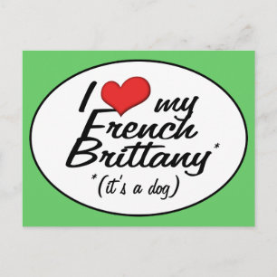 I Liebe My French Bretagne (Es ist ein Hund) Postkarte