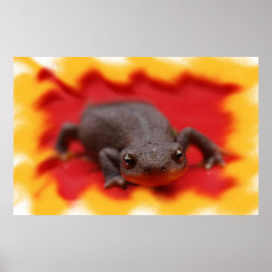 I Liebe Newts Fine Art Prints Poster