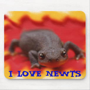 I Liebe Newts Mousepad