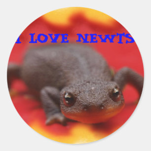 I Liebe Newts Runder Aufkleber
