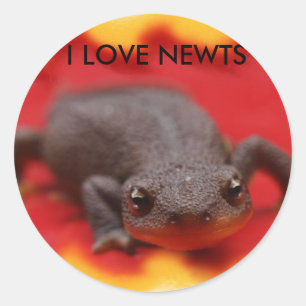 I Liebe Newts Runder Aufkleber