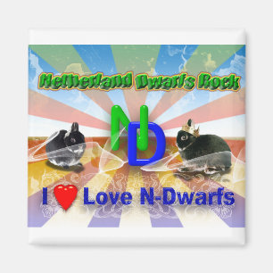 I Liebe Niederlande Zwarf Bunnies Magnet