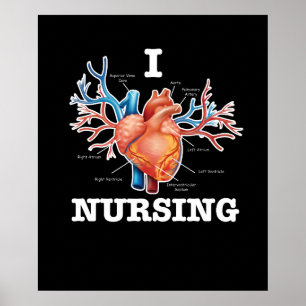 I Liebe Nursing Heart Anatomie Medizin Poster