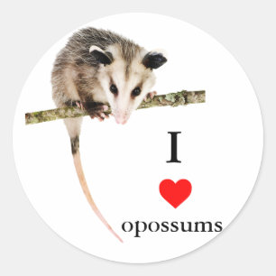 I Liebe Opossum-Aufkleber Runder Aufkleber