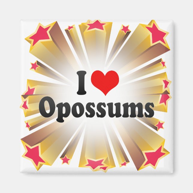 I Liebe Opossum Magnet (Vorne)