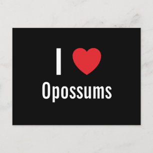 I Liebe Opossum Postkarte