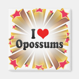 I Liebe-Opossums Magnet