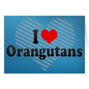 I Liebe-Orang-Utans