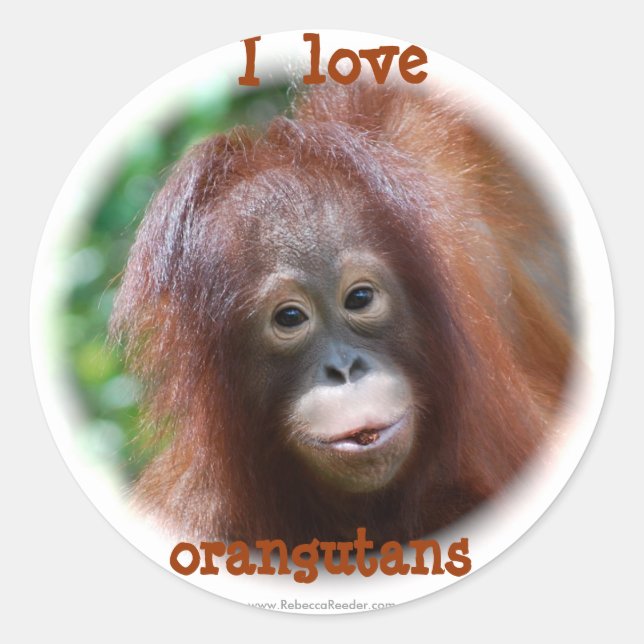 I Liebe Orang-Utans Runder Aufkleber (Vorderseite)