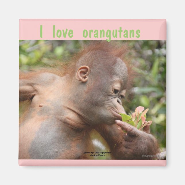 I Liebe Orangutans Magnet (Vorne)