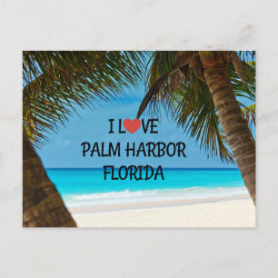 I Liebe Palm Harbour, Florida Postkarte