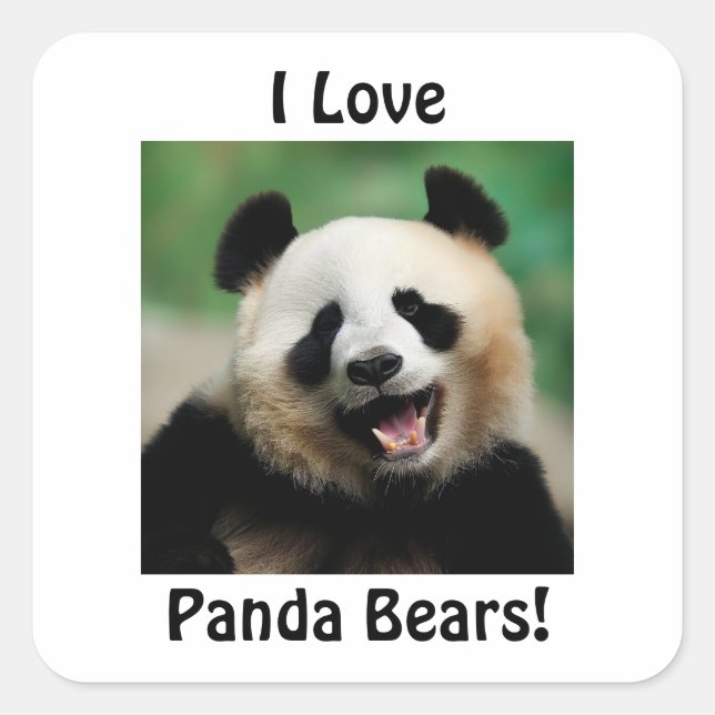 I Liebe Panda Bears Quadratischer Aufkleber (Vorderseite)