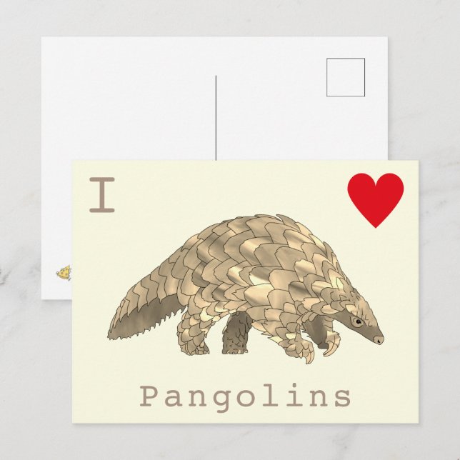 I Liebe Pangolins Seltene Tierwelt Slogan Postkarte (Vorne/Hinten)