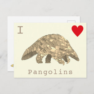 I Liebe Pangolins Seltene Tierwelt Slogan Postkarte