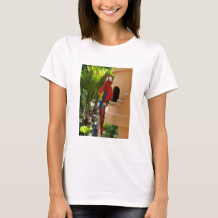 I Liebe Papageien T-Shirt