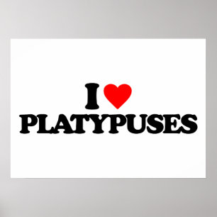 I LIEBE PLATYPUSES POSTER