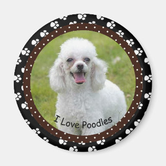 I Liebe Poodles Magnet