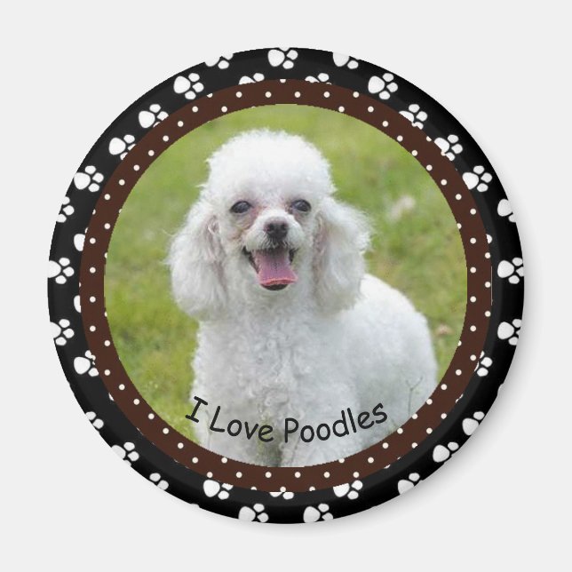 I Liebe Poodles Magnet (Vorne)