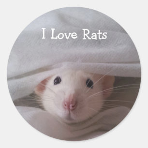 I Liebe Rats Stickers