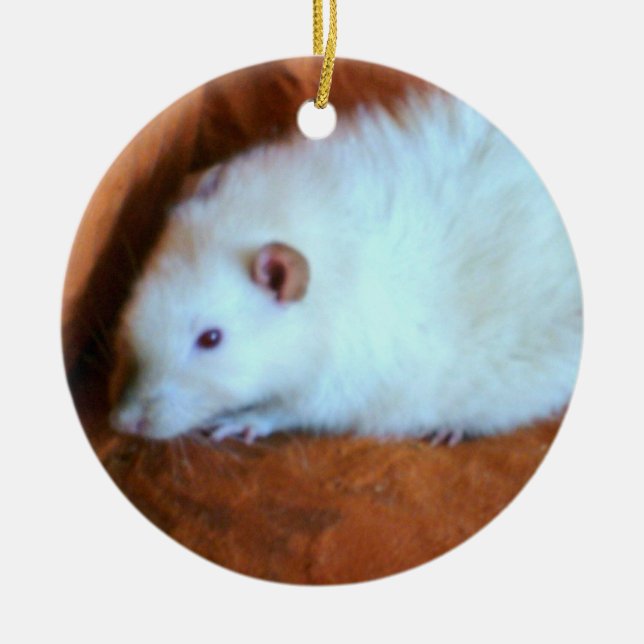 I Liebe Rats White Rat Snowball Ornament (Vorne)