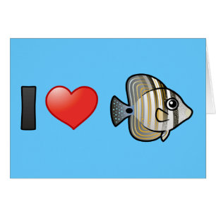 I Liebe Rotes Meer Sailfin Tang