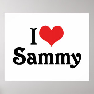 I Liebe Sammy Poster