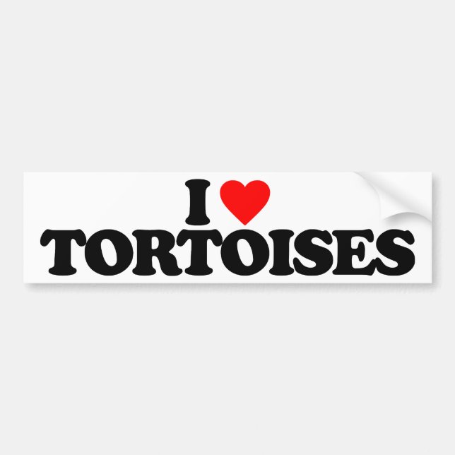 I LIEBE-SCHILDKRÖTEN AUTOAUFKLEBER (Vorne)