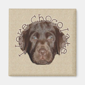 I Liebe Schokolade Magnet