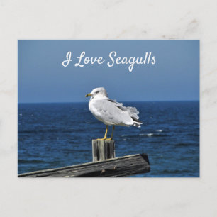 I Liebe Seagulls Postkarte