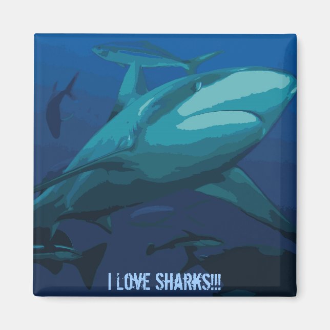 I Liebe Sharks Magnet (Vorne)