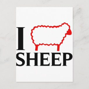 I Liebe Sheep Postkarte