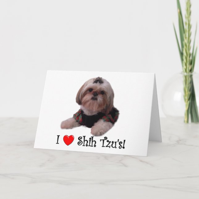 I Liebe Shih Tzu Karte (Vorderseite)