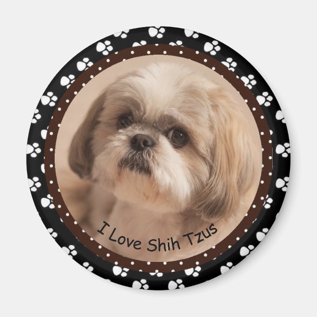 I Liebe Shih Tzus Magnet (Vorne)
